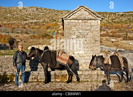 Cabanes sur pilotis, dans le Delta de l'Axios (aussi connu comme 'Vardaris') Rivière, Thessalonique, Macédoine, Grèce. Banque D'Images