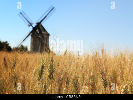 Des problèmes de mise au point image d'un moulin à vent en bois traditionnel vu à travers un champ de blé. Banque D'Images