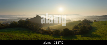 Colmer's Hill et la Marshwood Vale. Le Dorset. L'Angleterre. UK. Banque D'Images