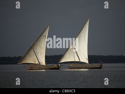 Les dhows Sailind dans le canal de Lamu, Kenya, Lamu Banque D'Images