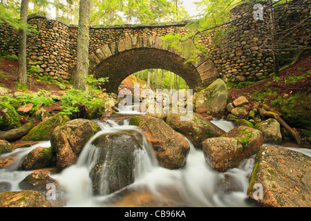 Cobblestone Transport Road Bridge près de Jordan Pond, l'Acadia National Park, Maine, USA Banque D'Images