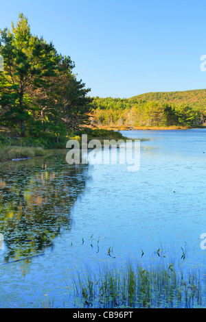 Trou sorcière étang, l'Acadia National Park, Maine, USA Banque D'Images