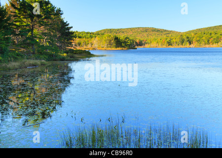 Trou sorcière étang, l'Acadia National Park, Maine, USA Banque D'Images