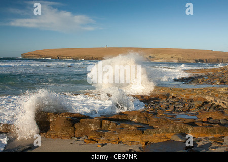 Birsay, Orkney Islands coast Banque D'Images