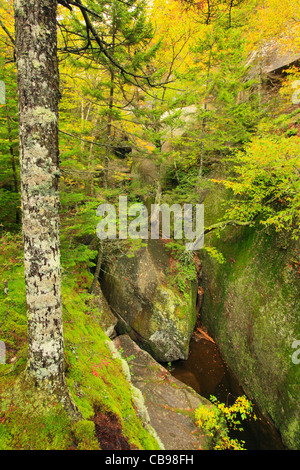 Grotte de l'orignal, Bear River Gorge, Grafton Notch State Park, Newry, Montagnes Blanches, Maine, USA Banque D'Images