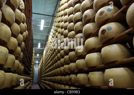 Roues de fromage parmigiano-reggiano biologique l'âge à un fromage ferme laitière en Italie. Banque D'Images