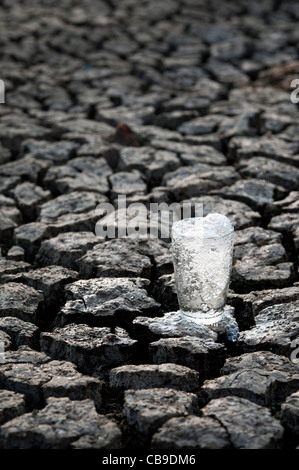 Verre de l'eau bouillonnante sur terre craquelée à sec Banque D'Images