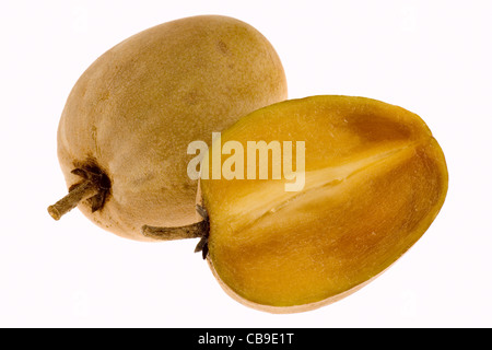 Fruits tropicaux - Chiku isolé sur fond blanc Banque D'Images