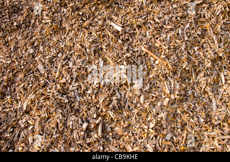 Arrière-plan de copeaux de bois. Les combustibles de la biomasse naturelle. Banque D'Images