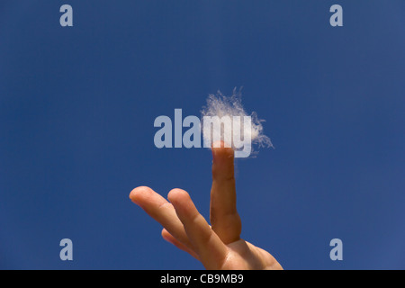 Plume blanche sur le bout du doigt, dans le ciel bleu en arrière-plan Banque D'Images