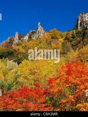 Les feuilles d'automne à Sounkyo Gorge, Kamikawa, Hokkaido, Japon Banque D'Images