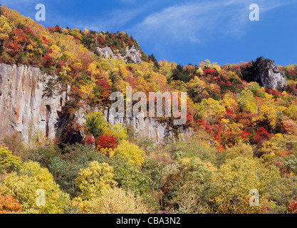 Les feuilles d'automne à Sounkyo Gorge, Kamikawa, Hokkaido, Japon Banque D'Images