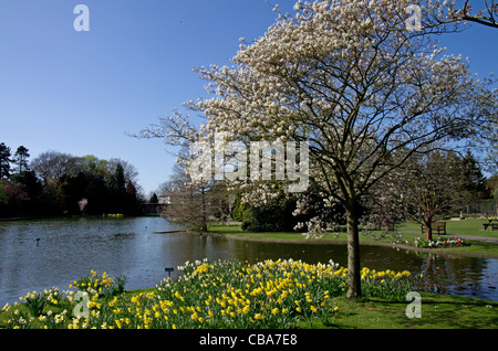 Burnby Hall Gardens Pocklington Banque D'Images