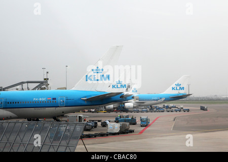 KLM aéronefs portant le logo de l'entreprise à l'aéroport de Schiphol à Amsterdam, aux Pays-Bas. Banque D'Images