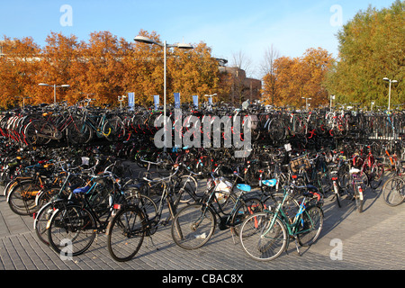 Les bicyclettes sont empilés sur des double-decker les béquilles à Utrecht, aux Pays-Bas. Banque D'Images