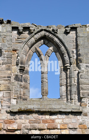 Fenêtre et mur, ruines de la Cathédrale, St Andrews, Fife, en Ecosse, Grande-Bretagne, Royaume-Uni Banque D'Images