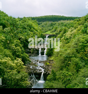 Chutes Umauma monde tropical Botanical Gardens Big Island Hawaii