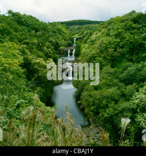Chutes Umauma monde tropical Botanical Gardens Big Island Hawaii