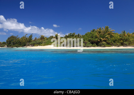 Plage avec cocotiers dans Perfect Blue Lagon de Maupiti, Polynésie française. Banque D'Images