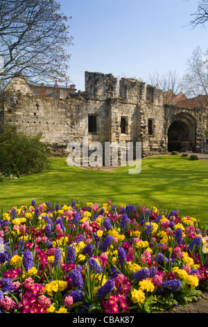 York City Wall et lit de fleur Banque D'Images