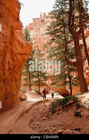 Couple hiking à Bryce Canyon Banque D'Images