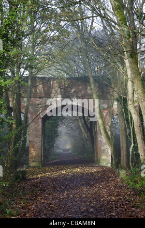 Ancienne voie de chemin de fer et le pont à South Cerney - maintenant partie d'une réserve naturelle Banque D'Images