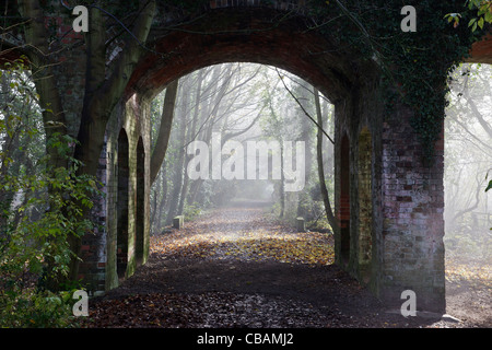 Ancienne voie de chemin de fer et le pont à South Cerney - maintenant partie d'une réserve naturelle Banque D'Images