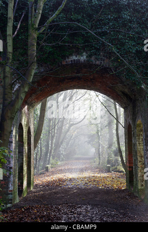 Ancienne voie de chemin de fer et le pont à South Cerney - maintenant partie d'une réserve naturelle Banque D'Images