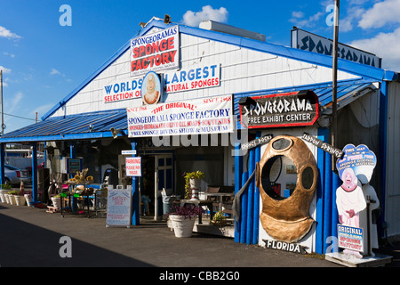 L'éponge Spongeorama store dans l'éponge sur les quais, Tarpon Springs, la Côte du Golfe, Florida, USA Banque D'Images