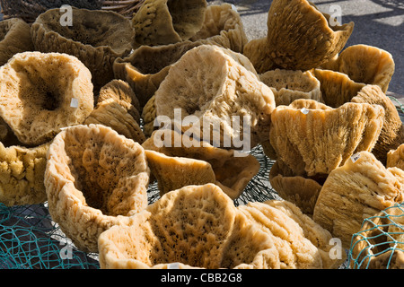 Éponges naturelles en vente sur l'éponge sur les quais, Tarpon Springs, la Côte du Golfe, Florida, USA Banque D'Images