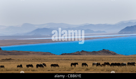 Le magnifique lac Tolbo dans l'ouest de la Mongolie. Banque D'Images