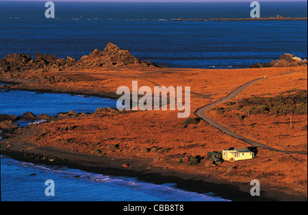 Pointe Sud de l'Île du Nord. Cape Palliser, Wairarapa, Wellington, Nouvelle-Zélande, Australie Banque D'Images