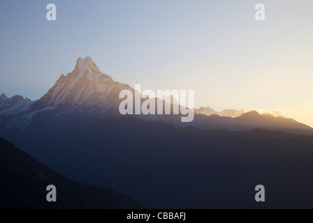 La montagne sacrée de Machhapuchhare escaladées, queue de poisson, au lever du soleil à partir de Tadapani, sanctuaire de l'Annapurna, Népal, Asie Région Banque D'Images