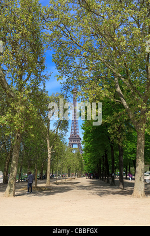 Avenues de platanes dans le Champ de Mars, Paris Banque D'Images