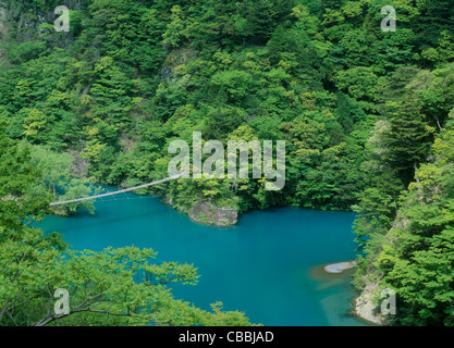 Sumata Kawanehon, Gorge, Shizuoka, Japon Banque D'Images