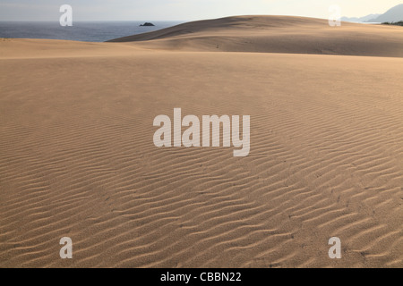 Les dunes de sable de Tottori Tottori, Tottori, Japon, Banque D'Images
