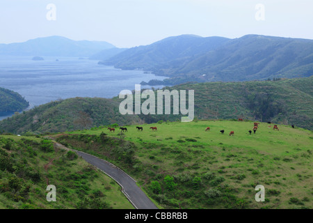 Kuniga Beach, Nishinoshima, Shimane, Japon Banque D'Images