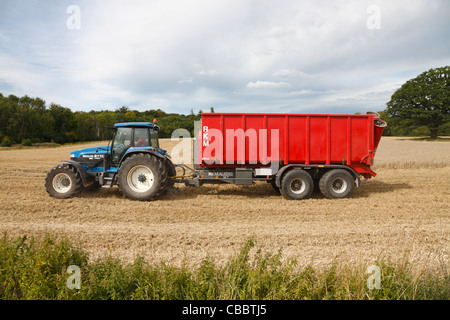 Le tracteur et la remorque en attente d'un chargement de blé d'une moissonneuse-batteuse, le champ avant la récolte le temps change Banque D'Images