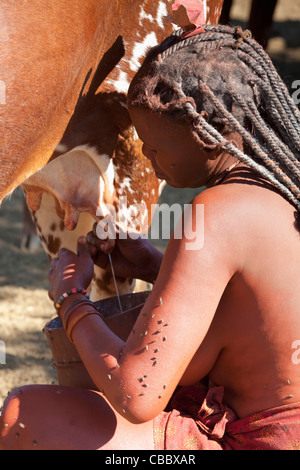 L'Afrique, la Namibie, l'Opuwo. Femme Himba traire une vache. En tant que crédit : Wendy Kaveney Jaynes / Galerie / DanitaDelimont.com Banque D'Images