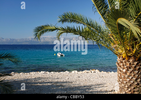 Plage Près de Vrila camping dans la partie sud de Orebic, Croatie Banque D'Images