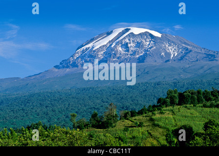 Vue panoramique du mont Kilimandjaro avec champs de maïs et les arbres forestiers dispersés, voir ci-dessus de la ville de Moshi en Tanzanie Banque D'Images