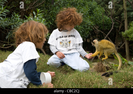 Activités pour les enfants : World of Birds & Monkey Jungle - Enfants avec velvet monkeys Banque D'Images