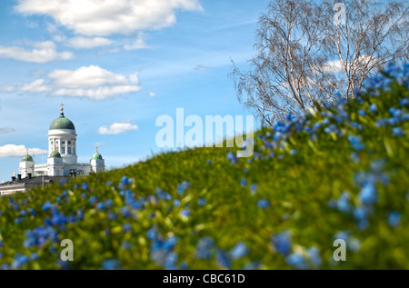 Vue de la cathédrale d'Helsinki d'un champ de fleurs avec blue cloudy sky en arrière-plan (accent sur la cathédrale) Banque D'Images