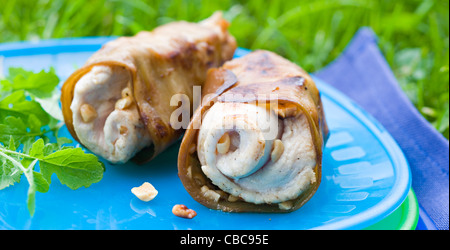 Rouleaux d'aubergines et de poulet à la plancha Banque D'Images