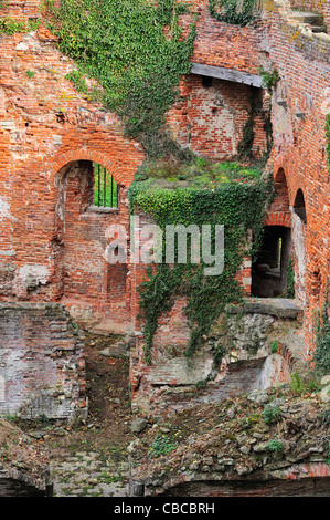 Parois de briques rouges en ruine couverte de lierre de la cité médiévale du château de Beersel, Belgique Banque D'Images