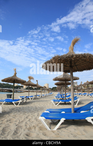 Le vide chaises longues à Magaluf à Mallorca, Espagne. Maguluf est connu pour sa vie nocturne torride Banque D'Images