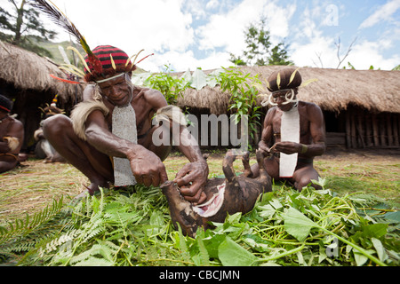 Coupe Hommes Dani Pig au festival du cochon, Baliem Valley, en Papouasie occidentale, en Indonésie Banque D'Images