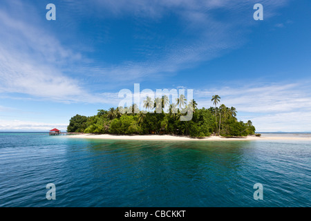 À l'Île Ahe Cenderawasih Bay, en Papouasie occidentale, en Indonésie Banque D'Images