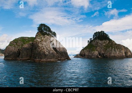 Chiswell Islands, Alaska Maritime National Wildlife Refuge, Kenai Fjords National Park, Seward, Alaska Banque D'Images