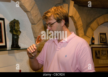 Franschhoek : Cabriere Estate - vin-bouilloire samples vintage Banque D'Images